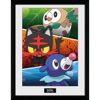 GBeye Collector Print - Pokémon Alola Partner